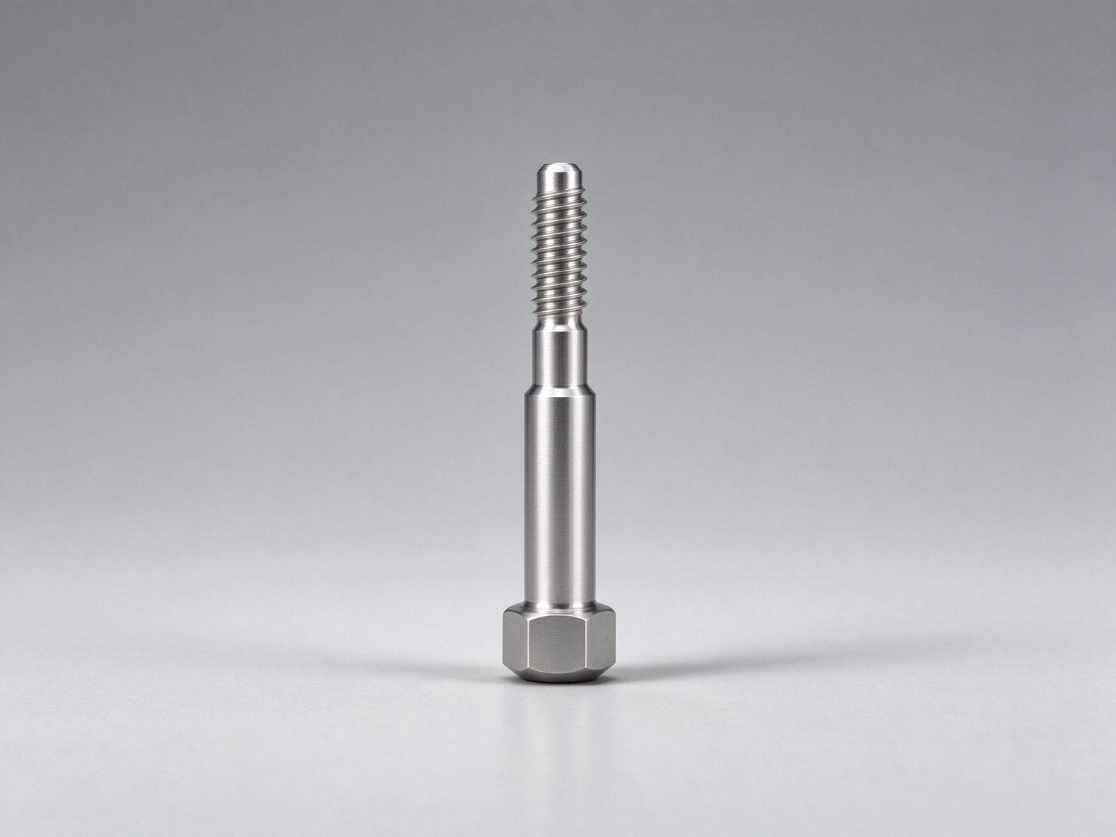 CNC Turned Stainless Steel Valve Spindle